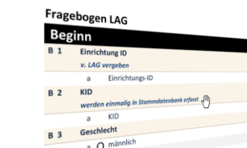 LAG Fragebogen